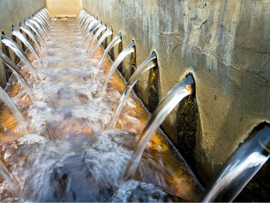 Pure Spring Water or Artificial Water? Nirvana Water